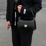 Black baguette bag with underarm design, high-quality niche handbag, trendy crossbody bag.